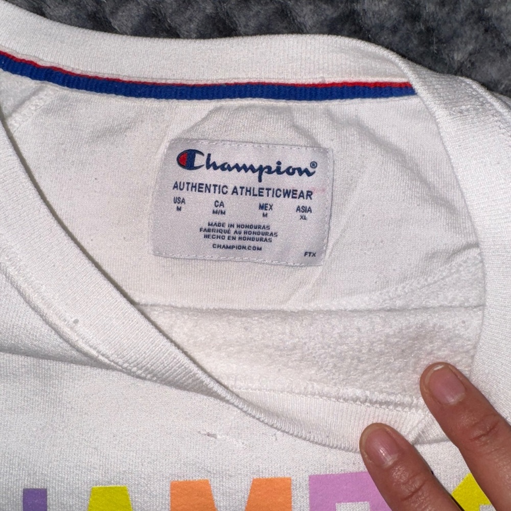 Champion sweatshirt
